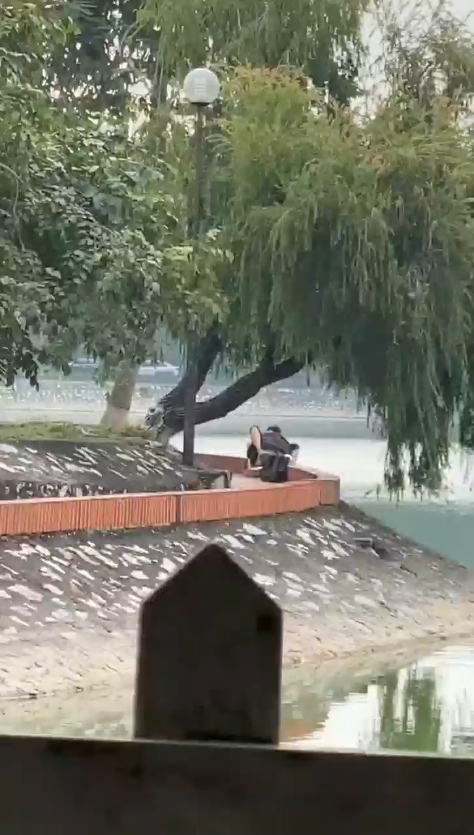 (không che) Sáng ra bờ hồ chịch nhau bị quay lén